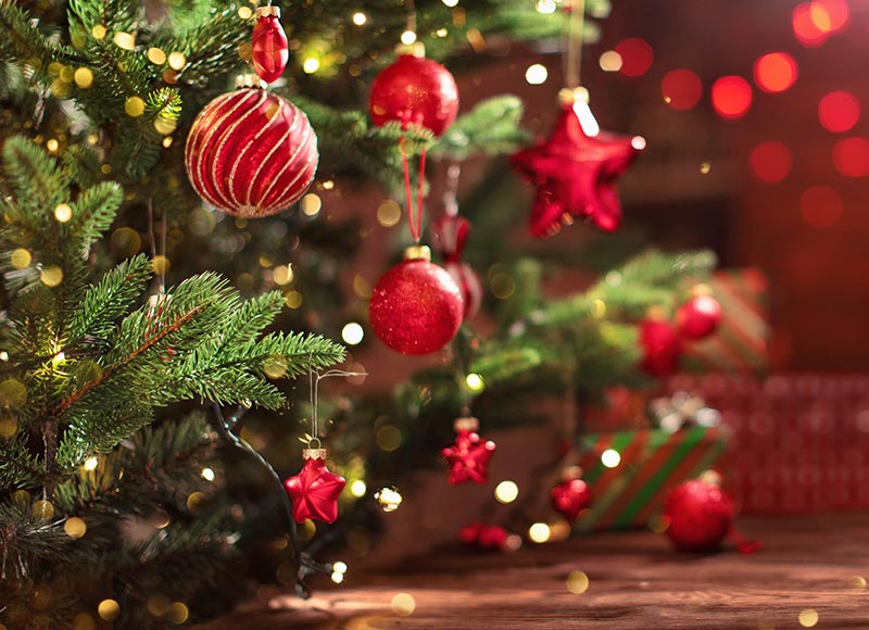 NATALE IN ALLEGRIA E RELAX